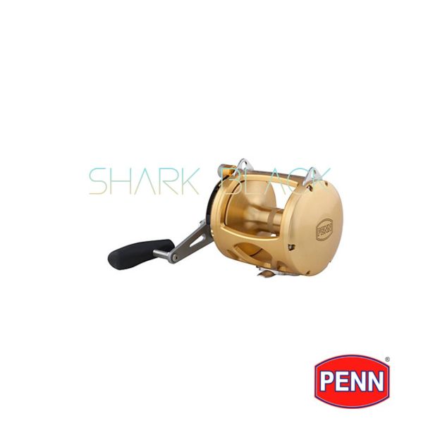 Penn International 5 INT80VISW - Imagen 2