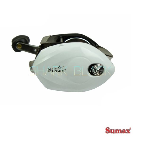 Carretilla SUMAX Salminus1000 - Imagen 6