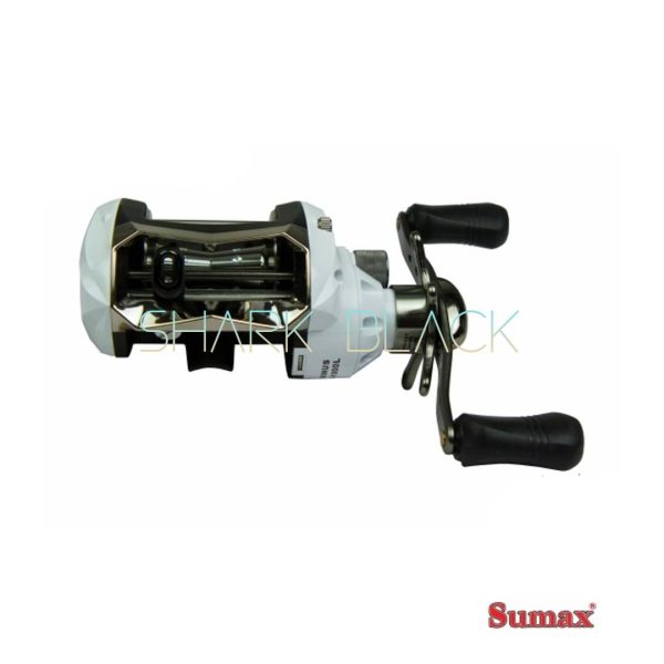 Carretilla SUMAX Salminus1000 - Imagen 4
