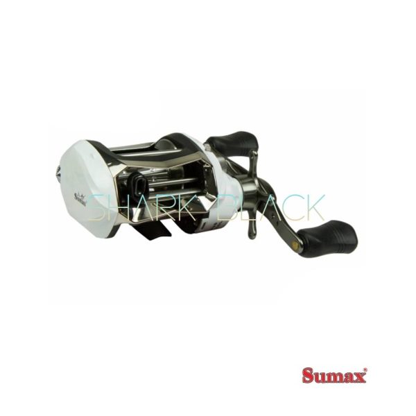 Carretilla SUMAX Salminus1000