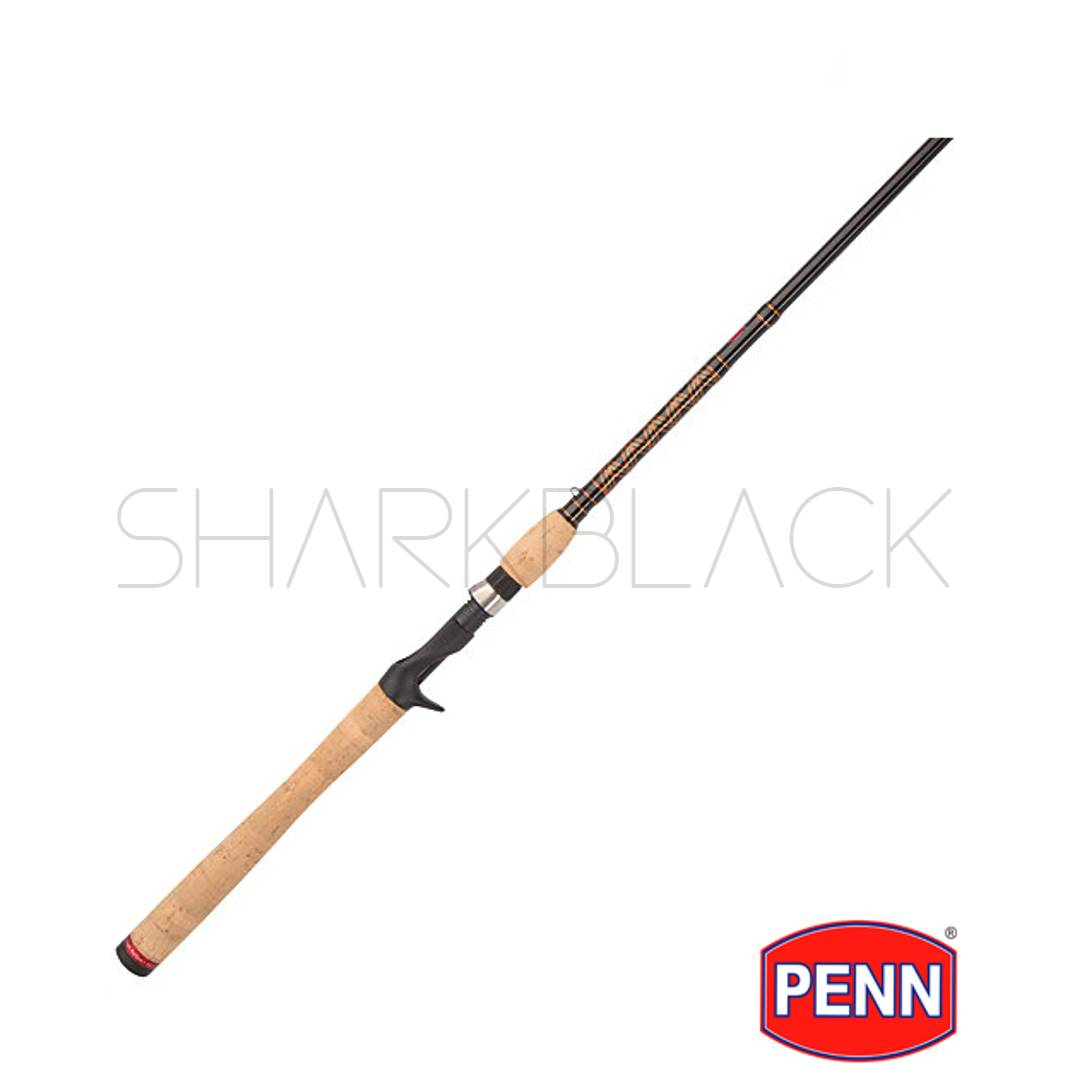 Penn Squadron II Inshore Casting Rod