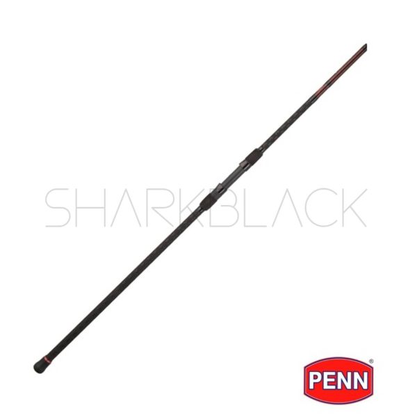 Vara Penn  PREVAIL®