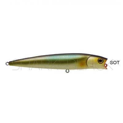 Calynn 110 cSOT