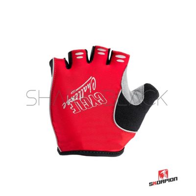 Guantes Scorpion WBG 071