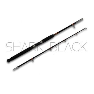 AAA - SUPERSTICK | 1.65m | 30-80lb | fibra de vidro