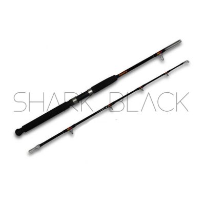 AAA - SUPERSTICK | 1.65m | 30-80lb | fibra de vidro