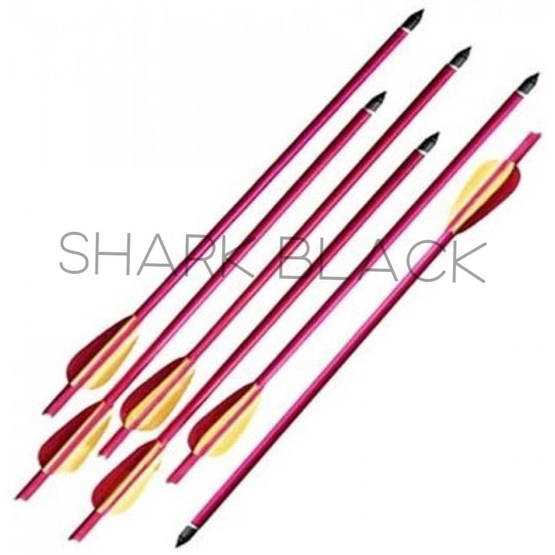 FLECHA ALUMINIO ARROW 20" C/ 6UNID RED MK-AL20-6R