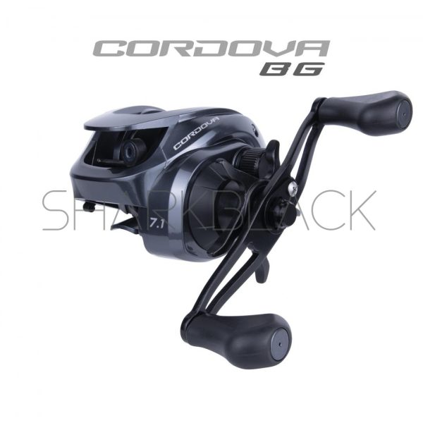 CORDOVA BG - Imagen 3