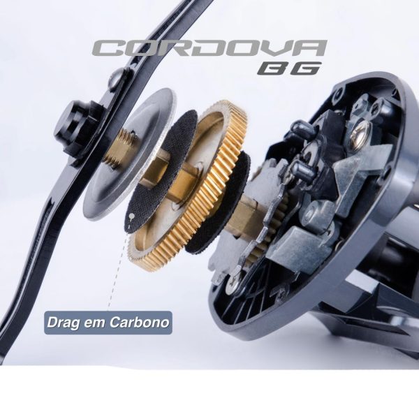 CORDOVA BG - Imagen 2