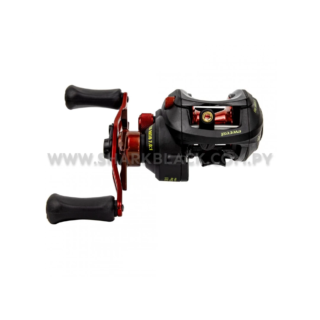 CONJUNTO EVE-3 - Imagen 5