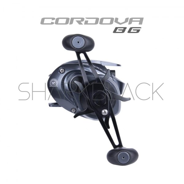 CORDOVA BG - Imagen 4