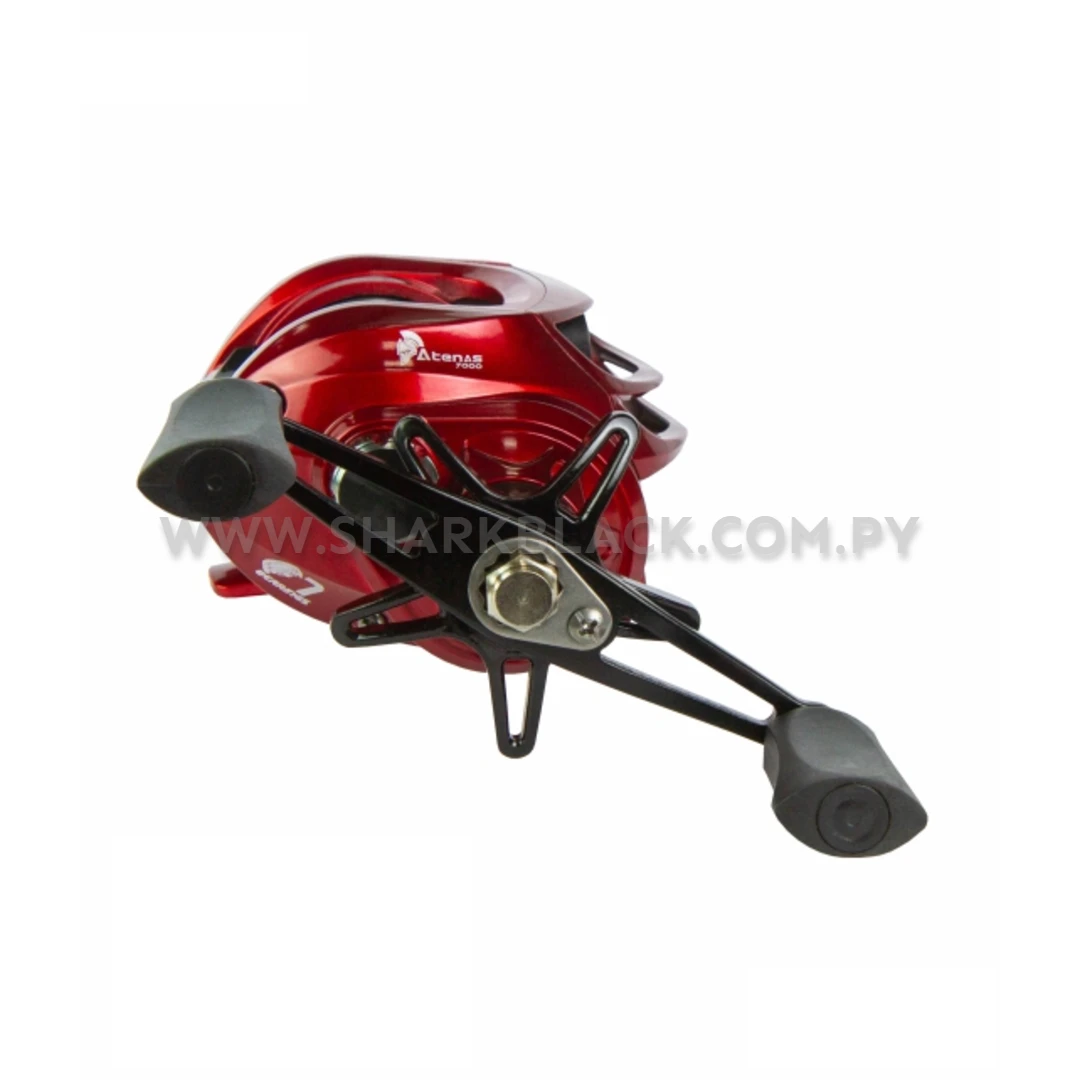 CONJUNTO ATENAS 2 - Imagen 6