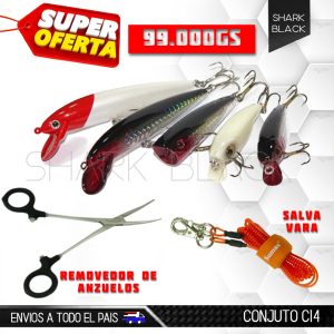 CONJUNTO C14