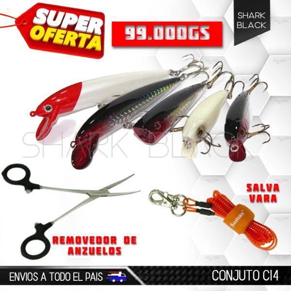 CONJUNTO C14