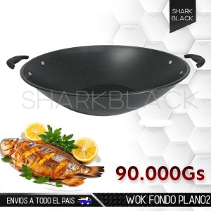 WOK FONDO PLANO 2