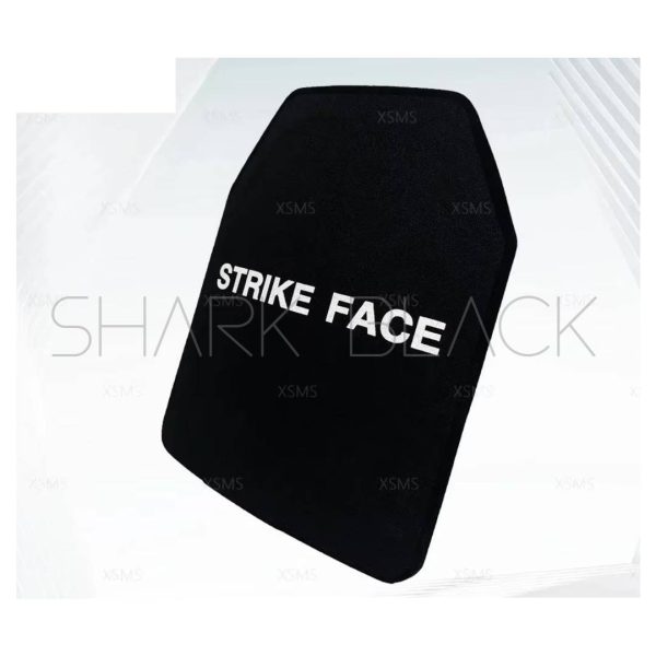 PLACA NIVEL 4 250MM X 300MM CARBURO DE SILICIO SNP1208