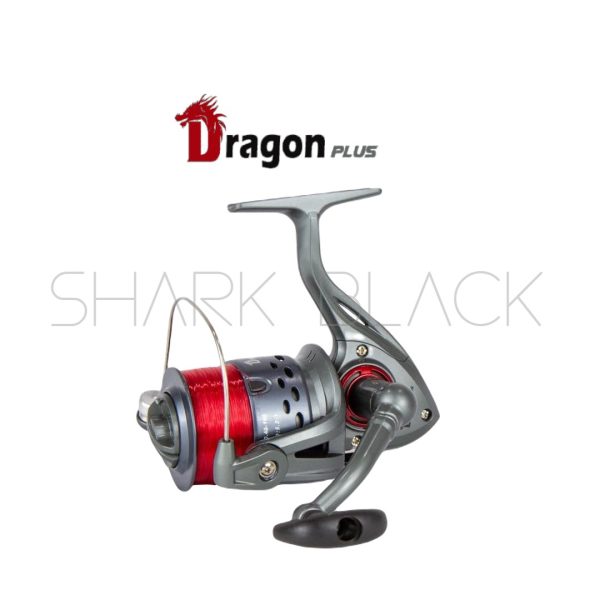CONJUNTO  DRAGON PLUS R - Imagen 3
