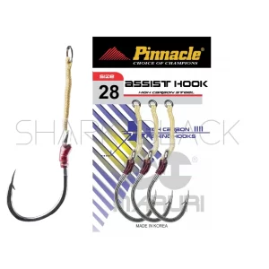 PINNACLE ASSIST HOOK